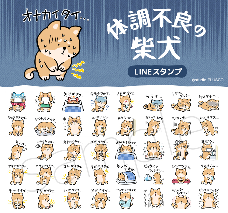 plusco_cyan's tweet photo. 「体調不良の柴犬」スタンプ、LINEクリエイターズストアで販売開始しました😊
体調が悪い時やケガをした時に使える柴犬のスタンプです。
 風邪、熱、花粉症のほか、お休みの連絡や通院なども。

https://t.co/N2T1tGOLQX

#LINEスタンプ #柴犬 #LINEクリエイター https://t.co/KmaY83chLa
