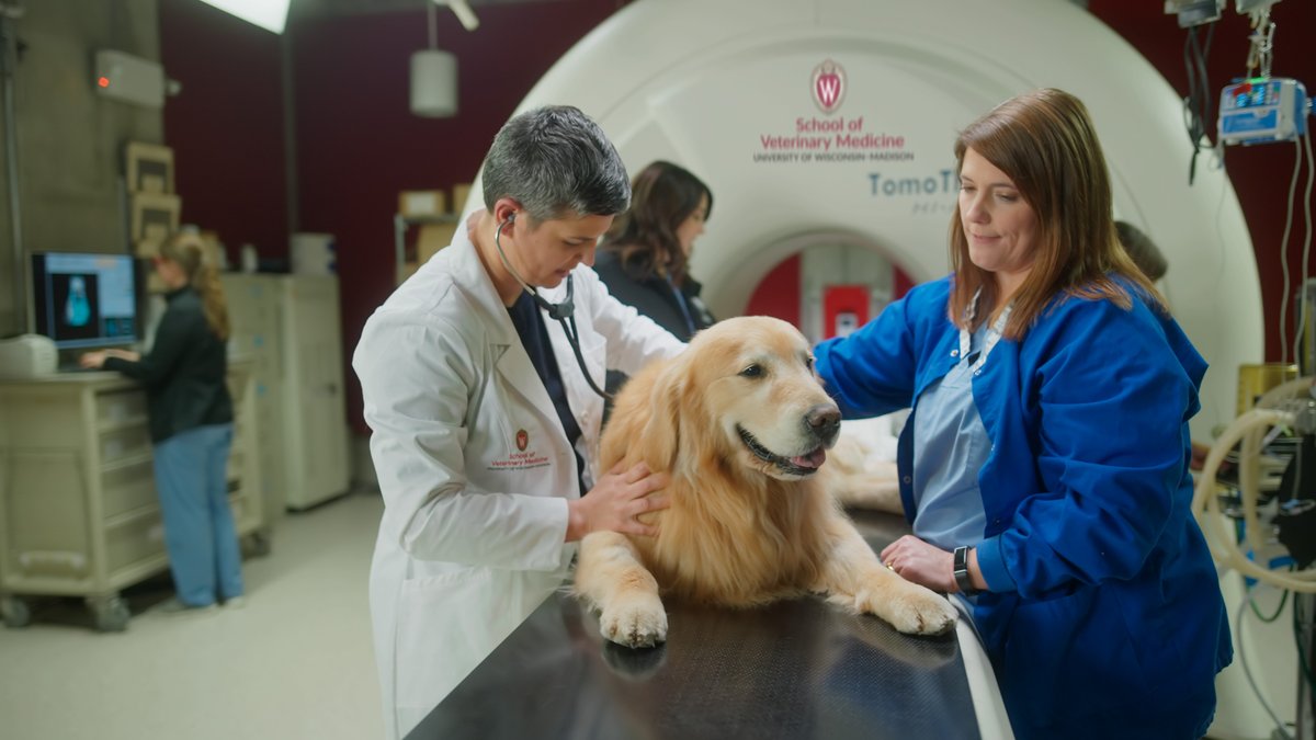 WeatherTech's tweet image. Help @uwvetmed change the lives of other pets just like Scout. Head to weathertech.com/donate to make a donation. 

#PetsMakeaDifference #SuperBowl #SBLIV