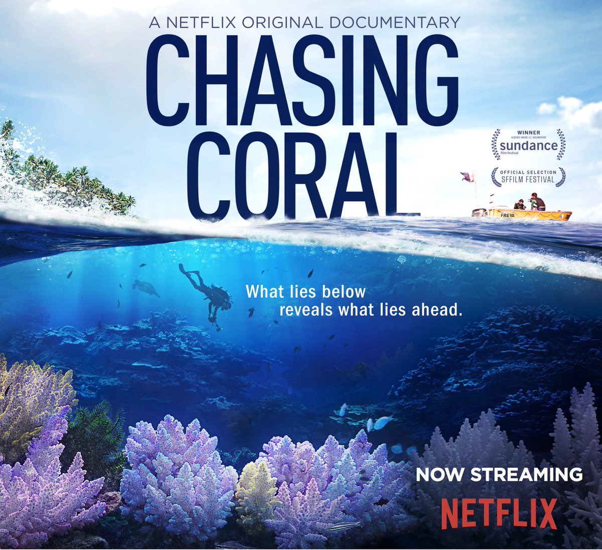 Highly recommend watching Chasing Coral on Netflix to understand the current state of one of the largest and most important living ecosystems on Earth