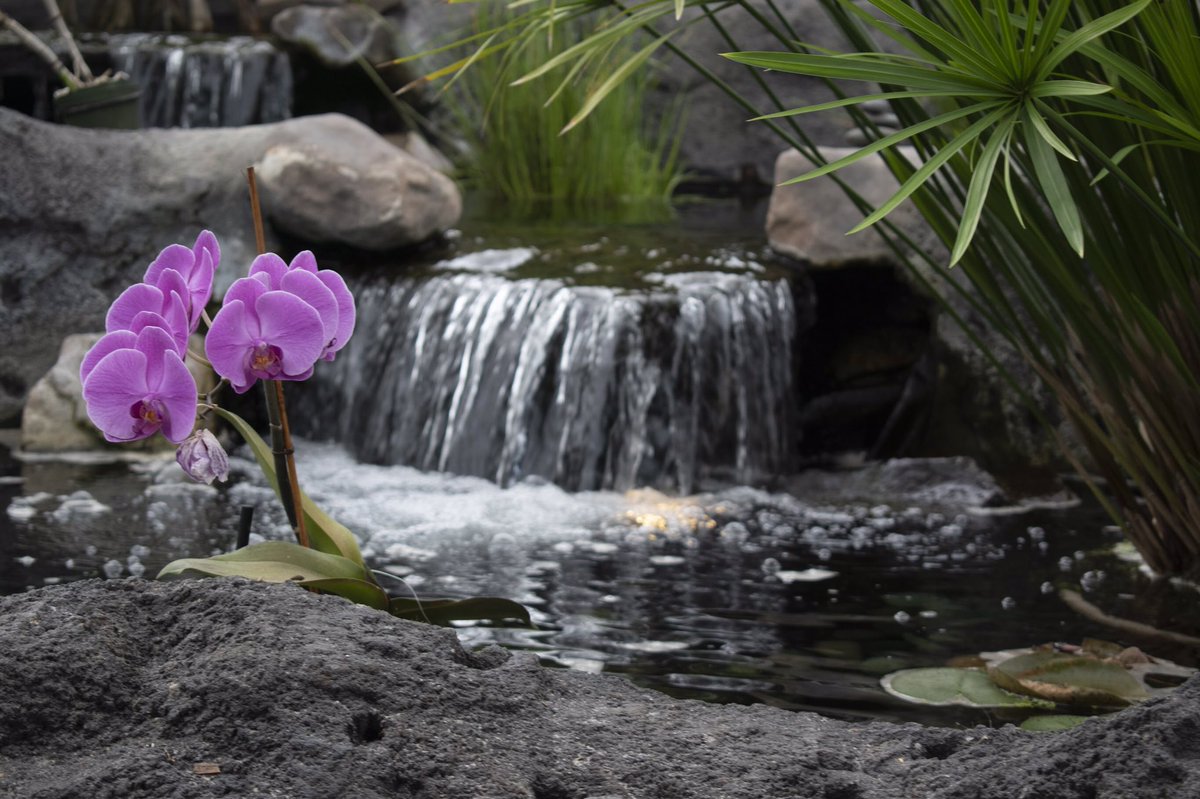 JacobHRichman's tweet photo. It took a lot of self control to not pick four photos from #Disney for #j262b @BethanysStories class on Monday. I settled on two and then went with another favorite photo of mine from a photo essay I did in 2019 and then lastly a photo from #MLWZeroHour in Dallas. https://t.co/e8R8zmgXKU