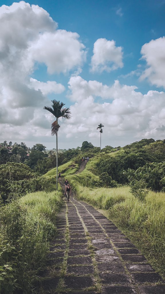 RHalallan's tweet photo. 🍃 https://t.co/pKAz8Z1y0X