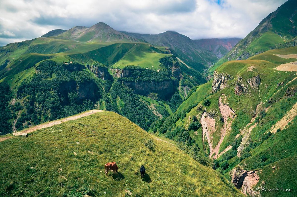 #MBDNature #MBDGeorgia