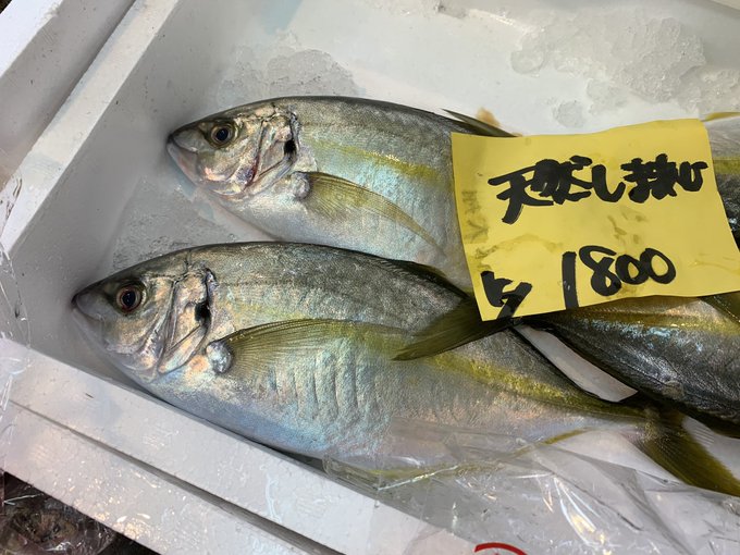 シマアジの特徴 見分け方 写真から探せる魚図鑑