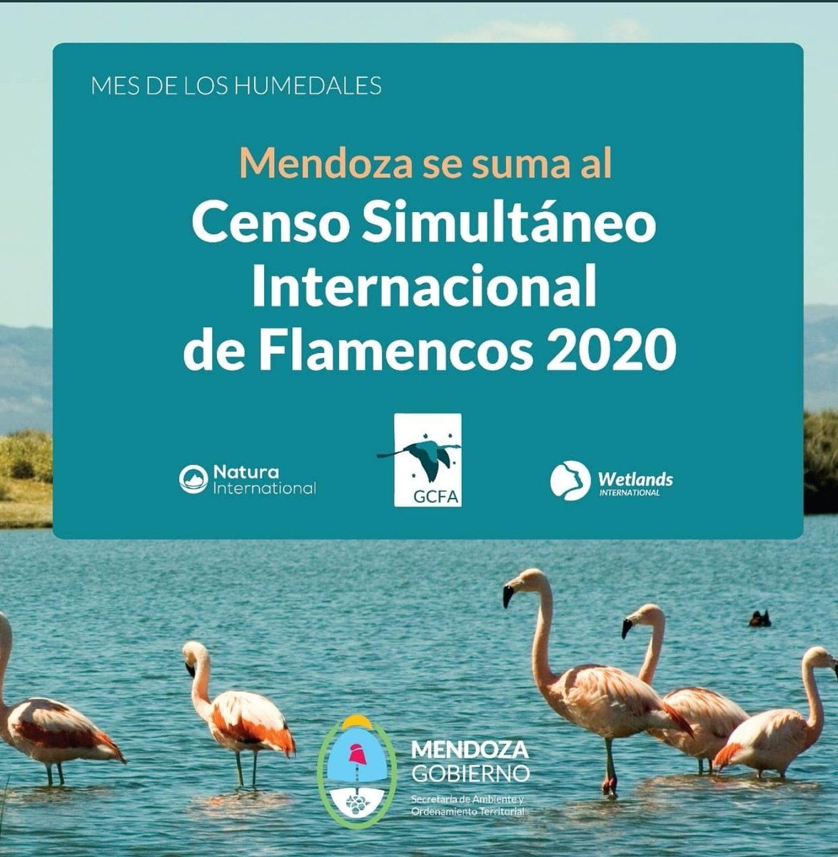 Laguna Llancanelo 🦩