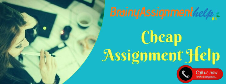 AssignBrainy's tweet image. Are you scared to hire the services of a professional assignment writer because of the costs involved? Why? You can easily obtain not just experienced and versatile but also #cheap_assignment_help that will help you produce a well-written assignment👉brainyassignmenthelp.com/cheap-assignme…
