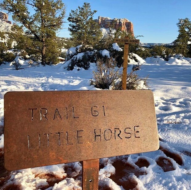 BonMillerPhoto's tweet photo. Today is 70 and tomorrow is a ❄️ snow day !  #loveaz #exploresesonatrails #hoofit #camptrot #littlehorsetrail #bikehikeridehorses https://t.co/ggM2QYJzN9