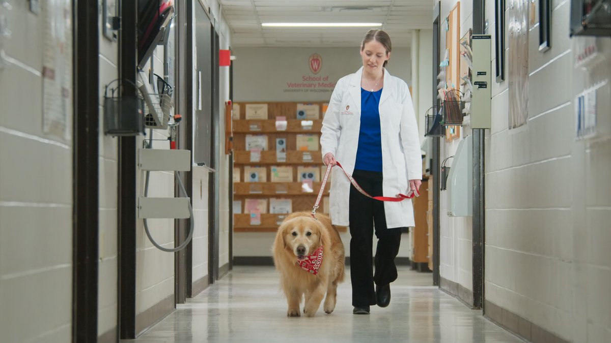 WeatherTech's tweet image. #Didyouknow @UWVetmed helps thousands of animals every year? Help them continue their mission and donate today: weathertech.com/donate 

#PetsMakeaDifference #SuperBowl #SBLIV