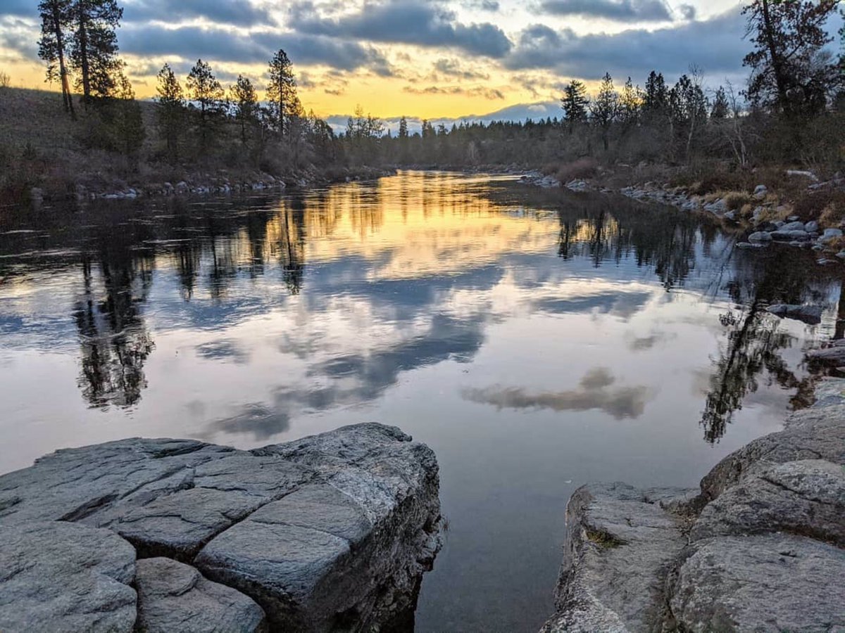 SpokanePulse tweet media