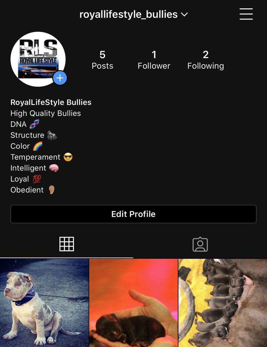 kc_2_smooth's tweet photo. If you  SUPPORT the “RLS/ RoyalLifeStyle Movement” go and follow the dog page!!!! ✊🏾💯 This will be the best way to stay updated on the RLS Dog World #StrivingForGreatness #WorldWideMovement #TheRoyalWay #RLSTakeOver https://t.co/wUj3S8aPFj