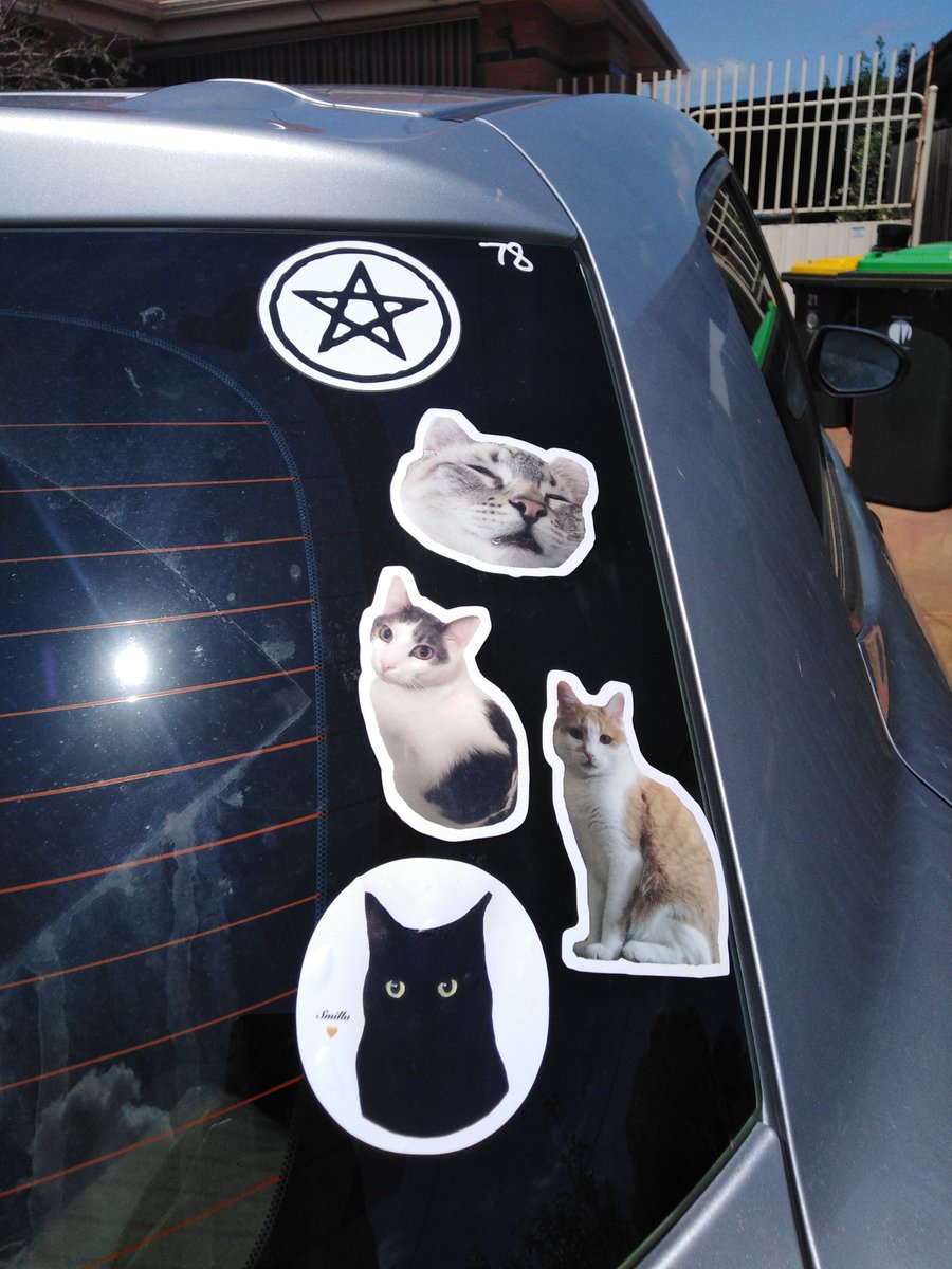 scruffkit's tweet photo. Oh wow, Scruff get hims own mail!! Address to Scruffkit! It tiny @i_smilla to add to tiny furriend collection dat protect hoom! Thank extea @i_smilla! You look v v perfect 💕
#CatsOfTwitter #CatTwitter #CatsOnTwitter #FIVCatsClub https://t.co/VMdKkNmuej