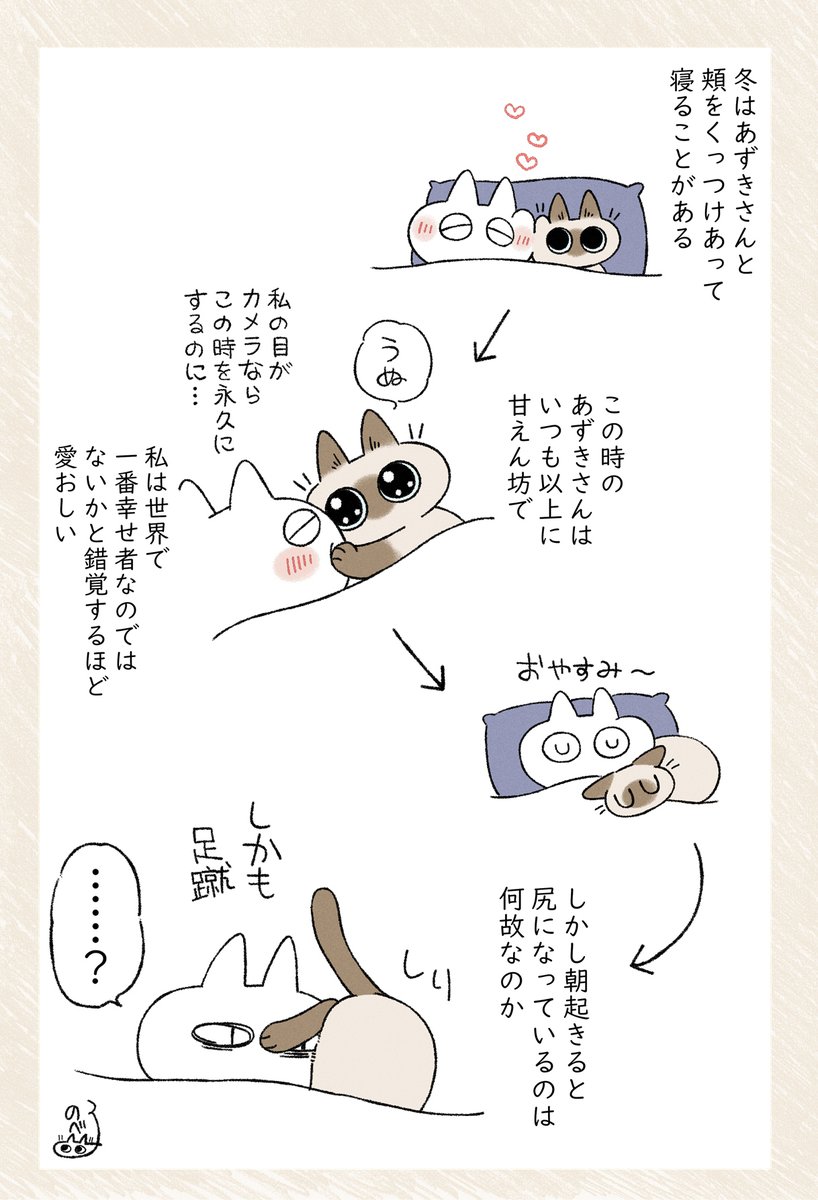 あずきさんと添い寝の話 #シャム猫あずきさんは世界の中心 