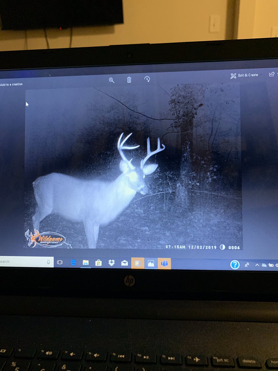 ReapersOutdrAdv's tweet photo. Deer season is over for us here in Virginia but gonna have some decent bucks for next year! #hunting #deerhunting #bucks #reapersoutdooradventures https://t.co/zkaQupFmSM