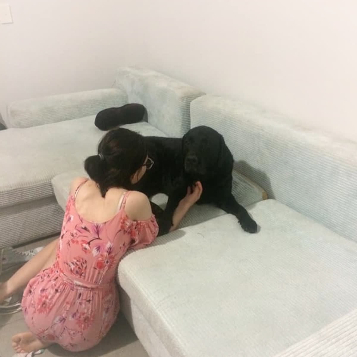 Image of a black labrador laying on the couch while with a young woman with her back to the camera i