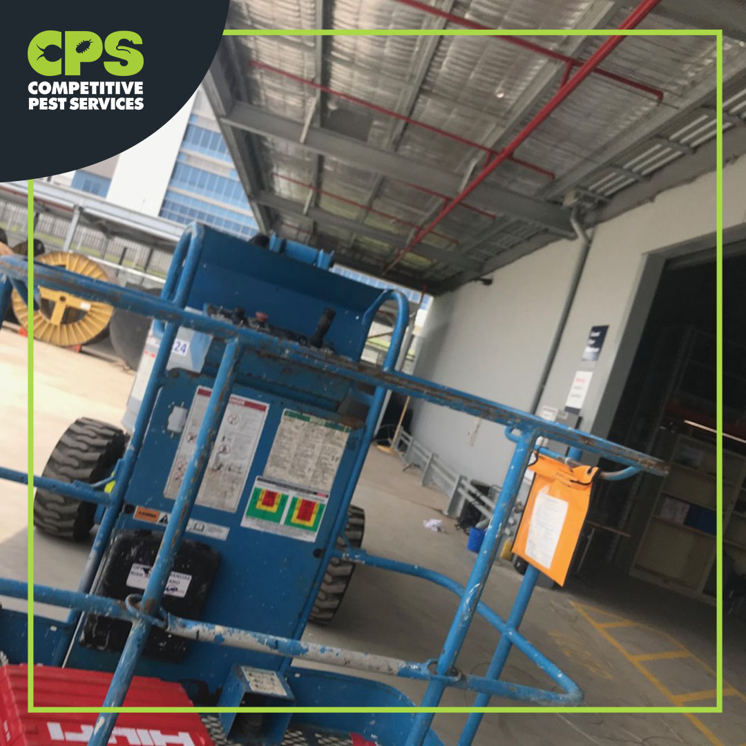 CompPestService's tweet photo. Do you have pigeon or bird problems???
Call CPS 1300 766 614 & schedule your free bird proofing appointment.
Website: https://t.co/vrtFWKFaTR
#antibirdnetting #pigeoncontrol #birdControlspikes #pestproblems #CompetitivePestServices #CPSMyanmar #CPSAustralia #pestcontrol #CPS https://t.co/5SQWy03v6o