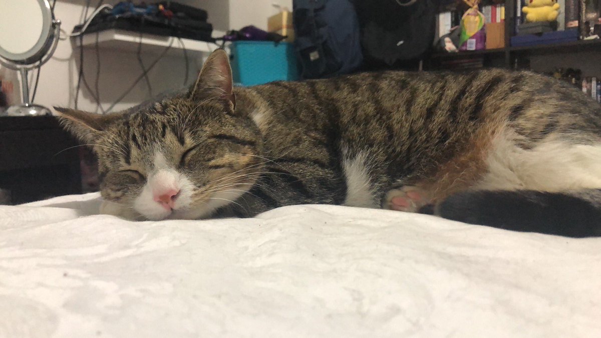 Emilie Baxter tweet media