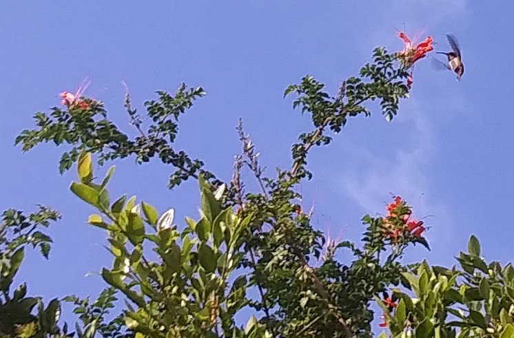 Jesuspirit's tweet image. 