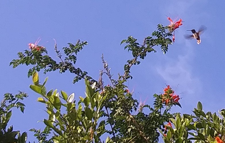 Jesuspirit's tweet image. 