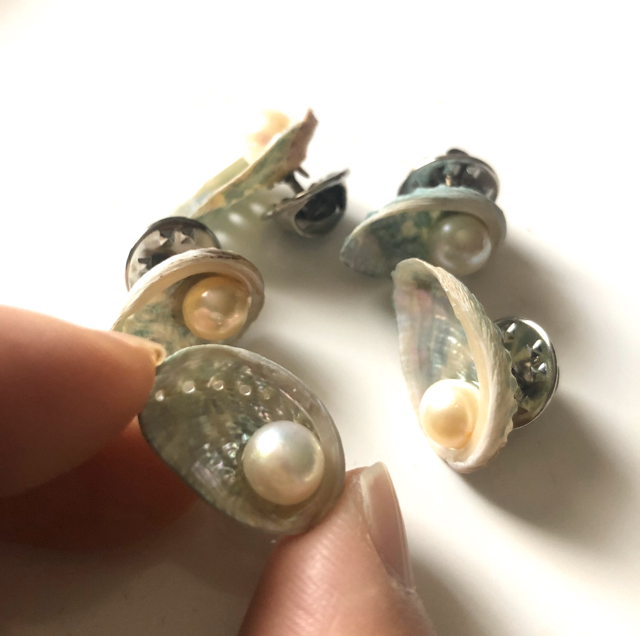 海の博物館toba Sea Folk Museum アワビ の稚貝を使ったピンバッジ ご好評いただき 再度入荷しております へい死した稚貝の殻を再利用しております アワビ T Co Wjx9try6xj Twitter