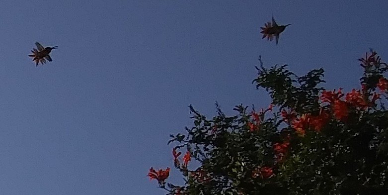 Jesuspirit's tweet image. 