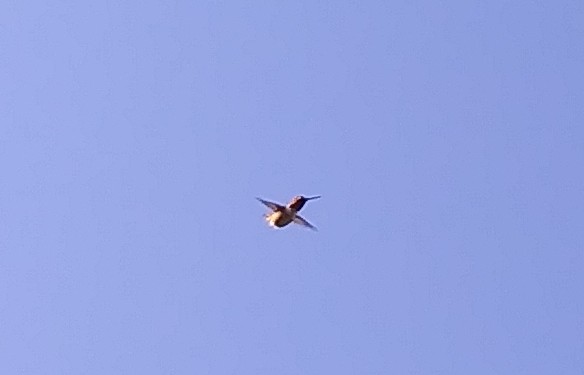 Jesuspirit's tweet image. 