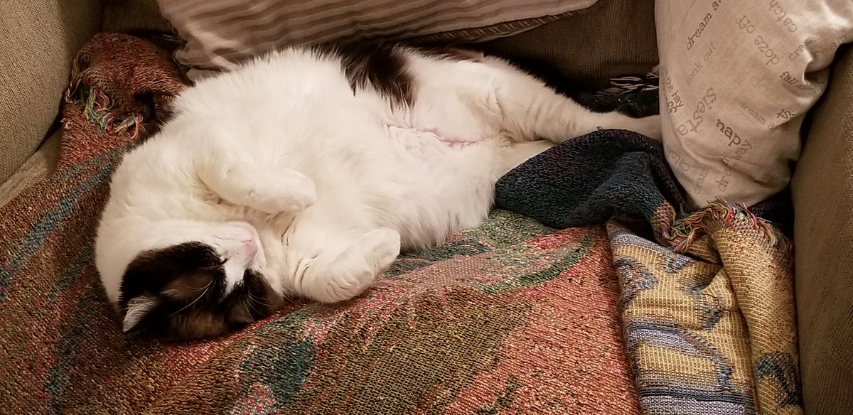 Someone is soooooo excited about the outcome of the game.