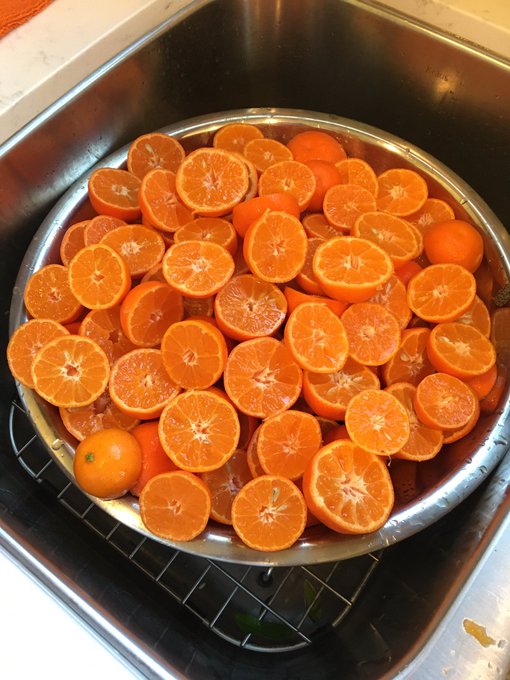 It is juice day! Homegrown, pesticide-free, hand squeezed, double-strained orange juice! To give you<a href="/tag/growyourown"class="tags"><span>#growyourown</span></a>