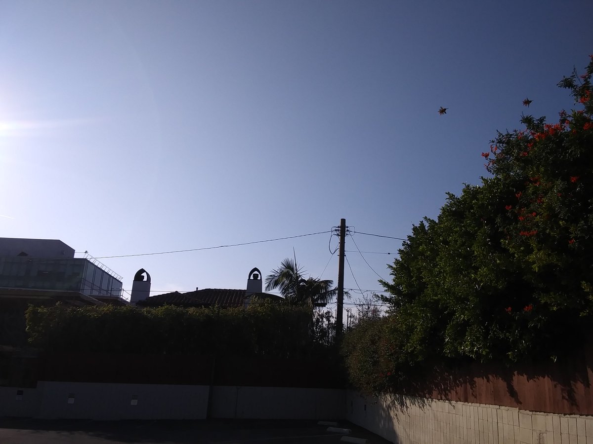 Jesuspirit's tweet image. 