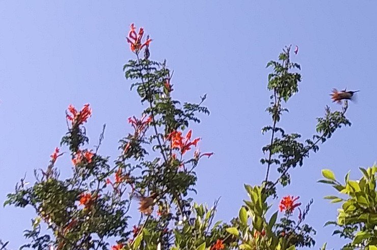 Jesuspirit's tweet image. 