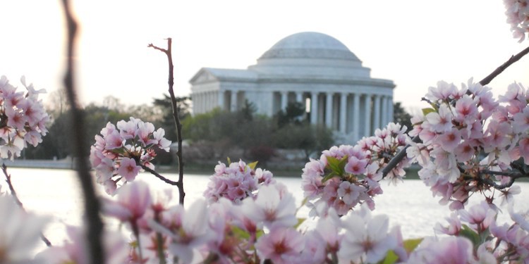 #PunxsutawneyPhil did not see his shadow so #Spring will arrive 6 weeks early.

Time to think about Spring Travel? Let us know your set plans or places you want to go.

Tag your hosts <a href="/travthroughlife/">Carl | Travel Through Life</a> and <a href="/CharlesMcCool/">Charles McCool ✈️</a>, along with 1-10 friends, and include hashtag #FunTravelChat
