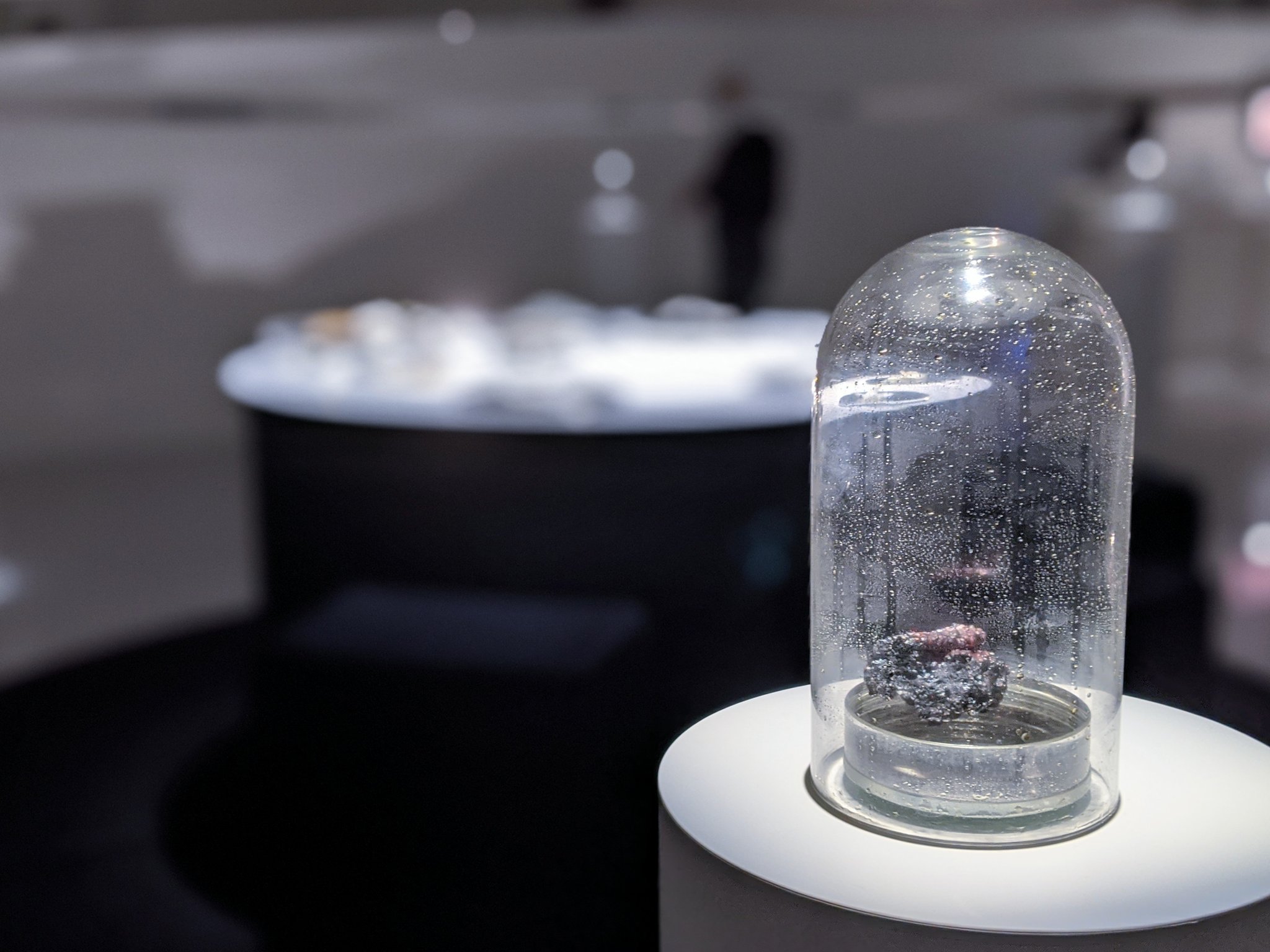 記憶の珍味 諏訪綾子展