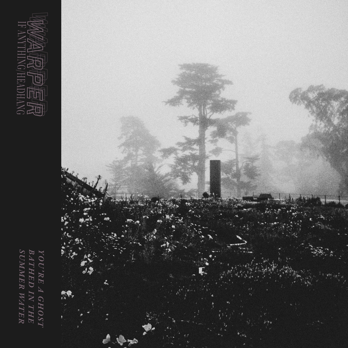 Warper <a href="/warperband/">Warper</a>はシングル"If Anything​/​Headhang"をリリースしました
warperband.bandcamp.com/album/if-anyth…