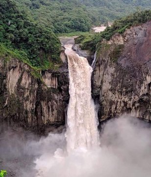 عرض الصورة على تويتر