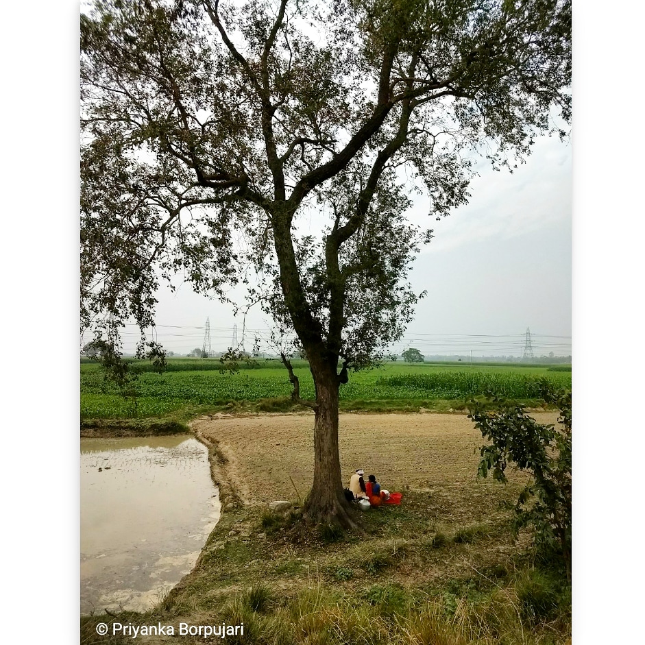 Growing food.Pausing with food.Malahariya, Bihar.On the  @outofedenwalk almost a year ago, with  @PaulSalopek  #EdenWalk