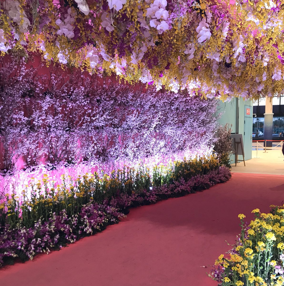 花と緑のココロ博 公式 Cocorohaku さん Twitter