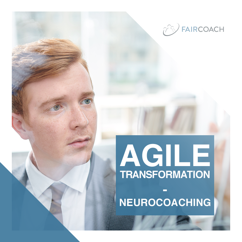 Faircoach tweet media