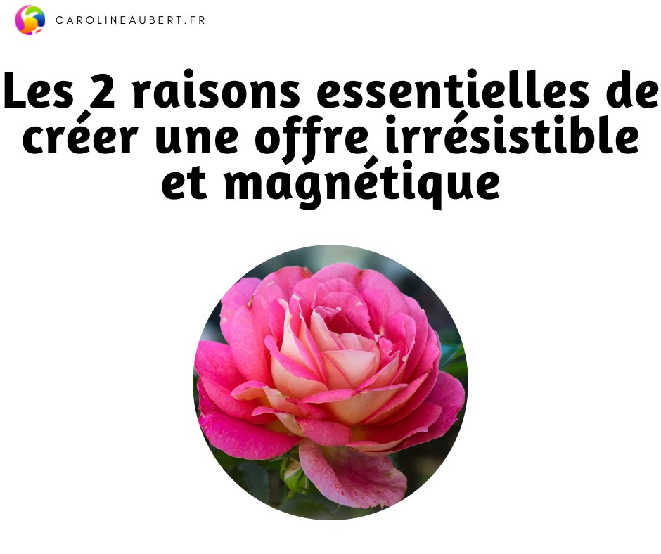 AxelleWeb's tweet image. Quand on parle d&apos;offre irrésistible et magnétique, on parle d&apos;une offre premium (haut de gamme) qui permet une véritable transformation dans la vie de vos clients et vous permet de développer un certain montant de chiffre d&apos;affaires. 
&amp;gt;&amp;gt; bit.ly/2ue1dwQ