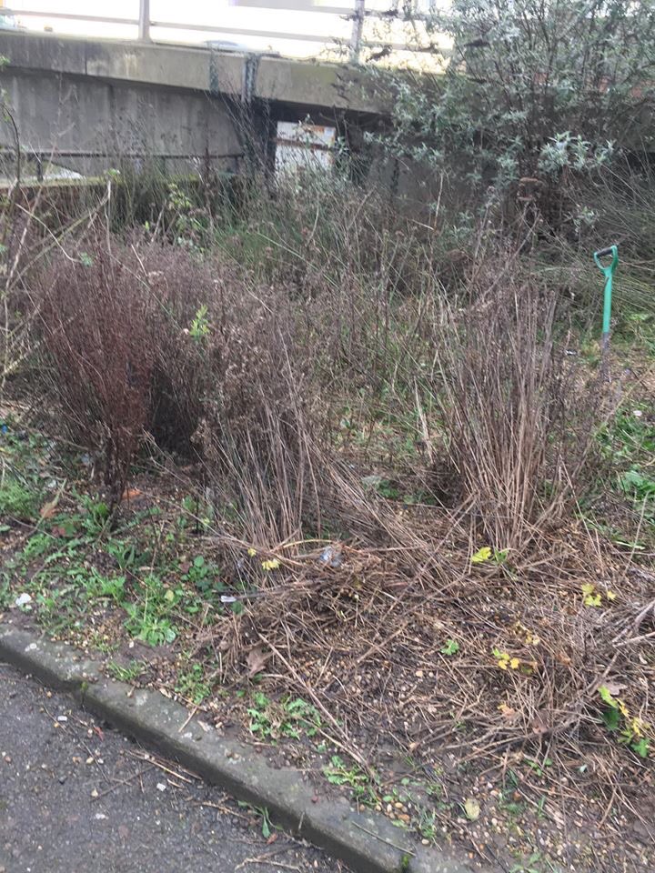 bostoninbloom's tweet photo. Friday saw our planting posse and partnership members head to Doughty Quay, transforming from #greytogreen. 

Keep an eye on our social media for more news about it in a few weeks and more planting. @RHSBloom  @InMidlands #britaininbloom #EMiB https://t.co/cBiIBCUtiC