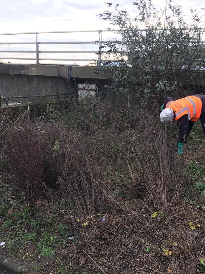 bostoninbloom's tweet photo. Friday saw our planting posse and partnership members head to Doughty Quay, transforming from #greytogreen. 

Keep an eye on our social media for more news about it in a few weeks and more planting. @RHSBloom  @InMidlands #britaininbloom #EMiB https://t.co/cBiIBCUtiC