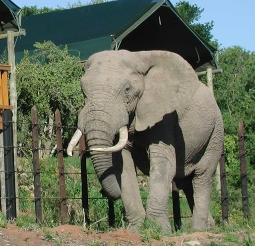 Environmentza tweet media