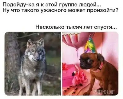 WhiteBeast17's tweet photo. Об истинном влиянии человечества... https://t.co/ghC7GLUQQr