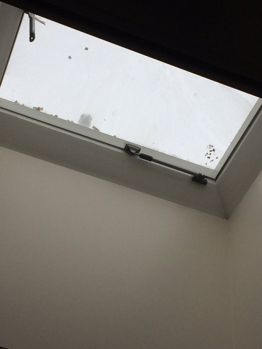 Jealous Goddess tweet media