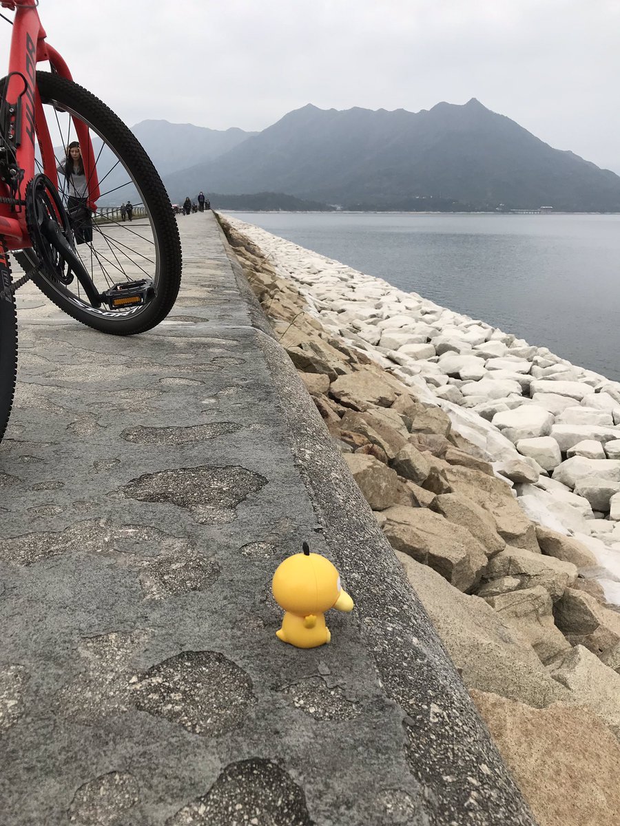 vr2xie's tweet photo. #reservoir #taipo #大埔 #大美督 #大美督水壩 #survey #psyduckfan #傻鴨 #psyduck #pokemon #enton #可達鴨 #租單車 https://t.co/0RxTJrgov2