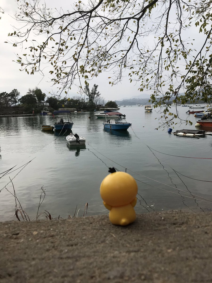 vr2xie's tweet photo. #reservoir #taipo #大埔 #大美督 #大美督水壩 #survey #psyduckfan #傻鴨 #psyduck #pokemon #enton #可達鴨 #租單車 https://t.co/0RxTJrgov2