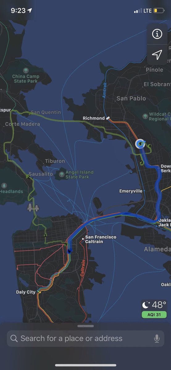 A map of my bike ride through the wiggle, panhandle, and Presidio, across the Golden Gate Bridge, through Marin, across the San Rafael Bridge, through Richmond to Albany, and then on BART from El Cerrito back to SF