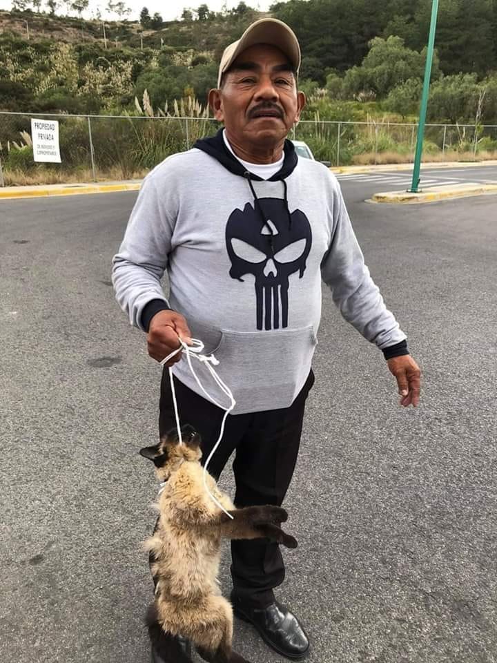 xjusticianimal's tweet photo. RT MÉXICO, ANCIANO ASESINA Y TORTURA ANIMALES El vigilante que tienen en cotsco Zona esmeralda (Atizapán . Estado de México )asesina ytortura alosanimalitos. Seburla diciendo q así lohacen todos en su puebloExigimos que tomen cartasen elasunto delapágina de Yo amo zona esmeralda https://t.co/1jpBmL6ybA