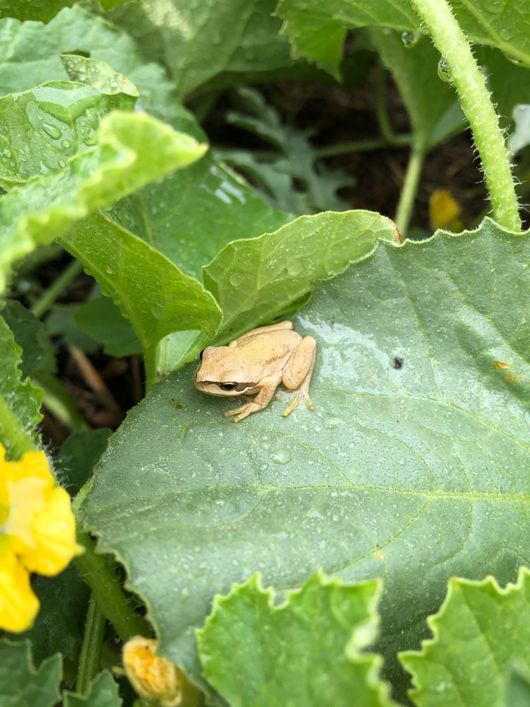 Melbourne Water tweet media