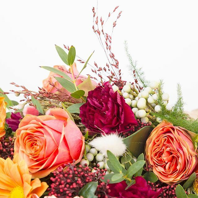 BNF Ekibi kalplere sıcaklık veren, rengarenk bir #Şubat ayı diler. #BloomAndFresh 💐 ift.tt/37SeQk3