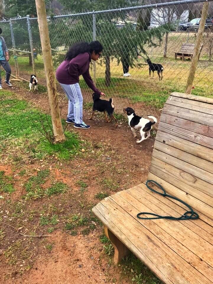 HurricaneFBLA's tweet photo. The weekend, our club volunteered at the Etowah Valley Human Society where we got to take a tour of the facility, learn about Etowah Valley’s mission, and play with the animals!!! Volunteering in your community is a vital part of what FBLA...https://t.co/kNkQuDYqyg #gafblacoy 💜 https://t.co/6FhmVzmvWt
