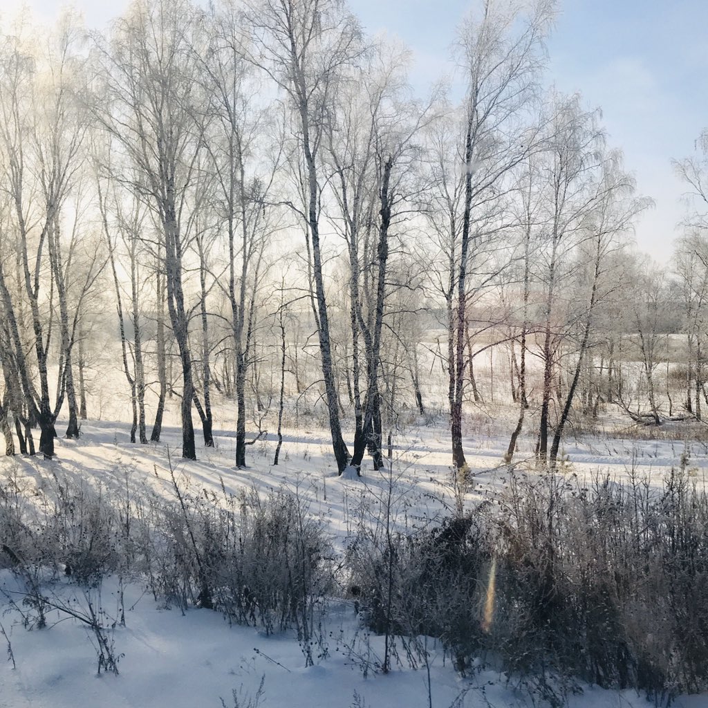 Tyumen oblast is gorgeous: sun, crisp white snow, -13C.