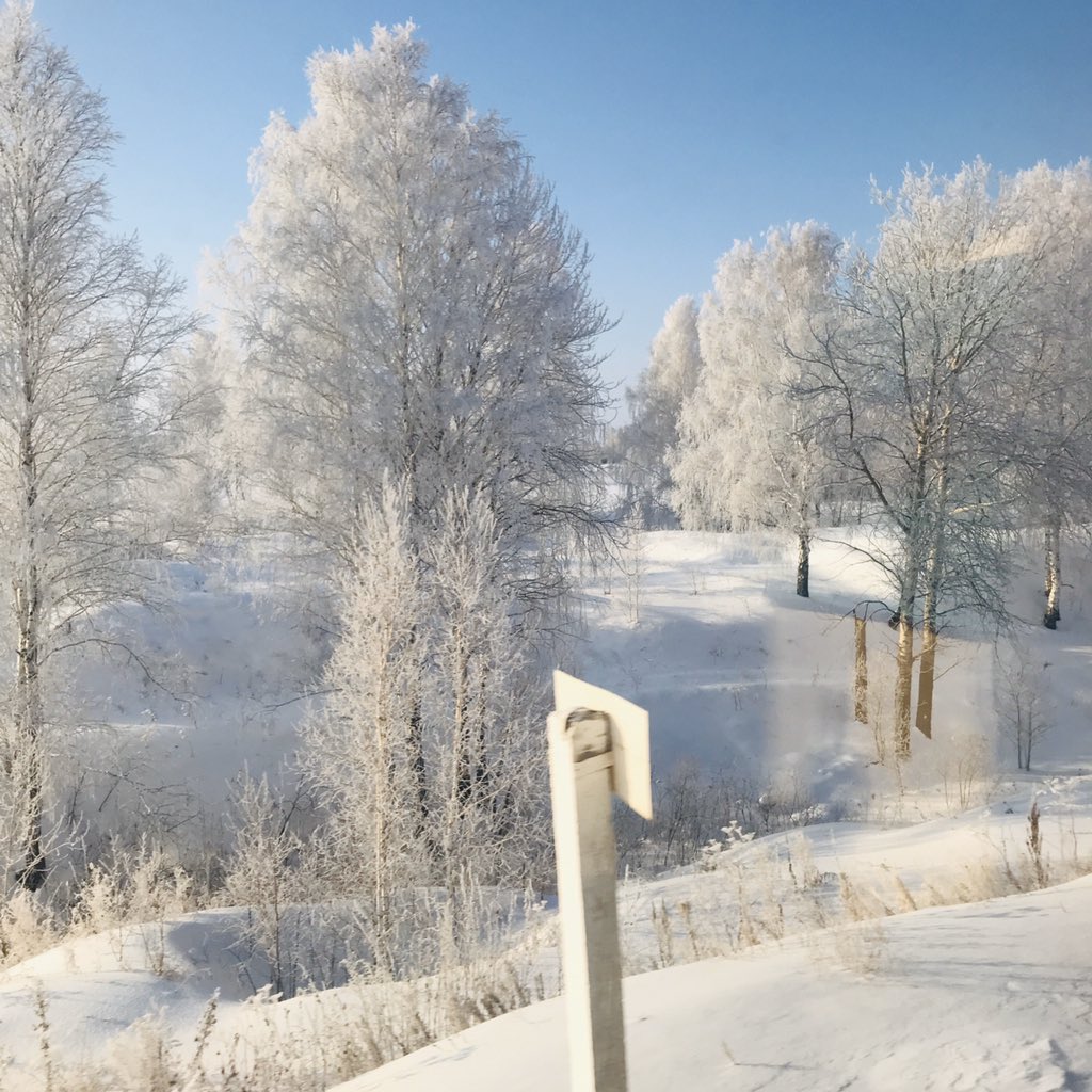 Tyumen oblast is gorgeous: sun, crisp white snow, -13C.